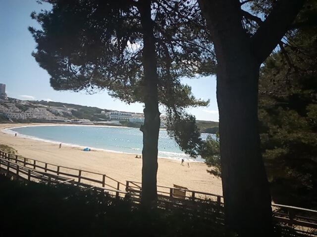 Castellsol Arenal Home Beach Punta Grossa Oda fotoğraf